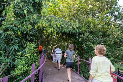 Walk The Darwin Botanic Gardens - Accommodation Australia 1