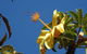 Walk The Darwin Botanic Gardens - thumb 6