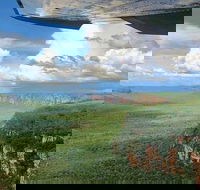 Kakadu National Park Scenic Flight - Accommodation Australia