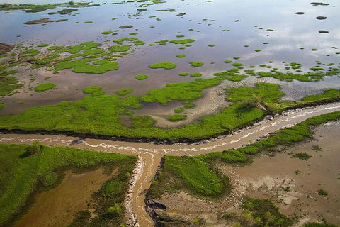 Kakadu National Park Scenic Flight - Accommodation Australia 10