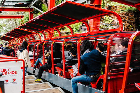 All-Inclusive Blue Mountains Day Trip With River Cruise - Accommodation Australia 7