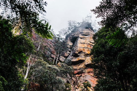 All-Inclusive Blue Mountains Day Trip With River Cruise - Accommodation Australia 3
