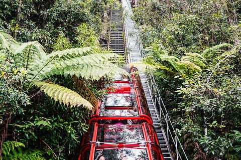 All-Inclusive Blue Mountains Day Trip With River Cruise - Accommodation Australia 6