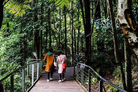 All-Inclusive Blue Mountains Day Trip With River Cruise - Accommodation Australia 10