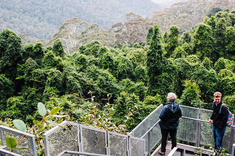 All-Inclusive Blue Mountains Day Trip With River Cruise - Accommodation Australia 2