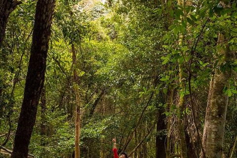 All-Inclusive Blue Mountains Day Trip With River Cruise - Accommodation Australia 26