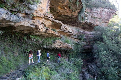 All-Inclusive Blue Mountains Day Trip With River Cruise - Accommodation Australia 38
