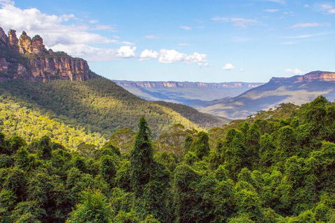 All-Inclusive Blue Mountains Day Trip With River Cruise - Accommodation Australia 28