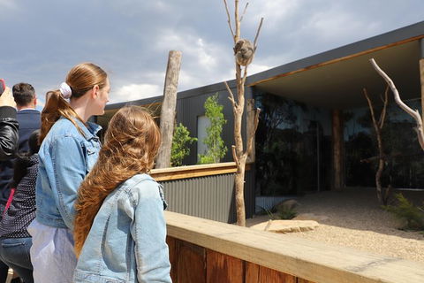 All-Inclusive Blue Mountains Day Trip With River Cruise - Accommodation Australia 23
