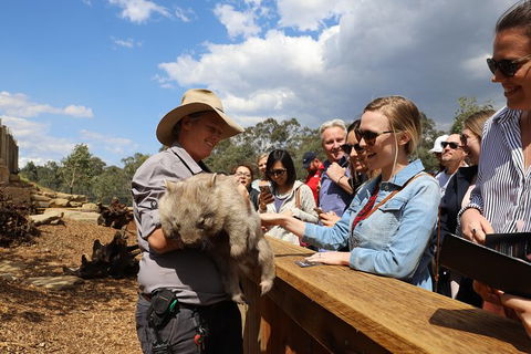 All-Inclusive Blue Mountains Day Trip With River Cruise - Accommodation Australia 27
