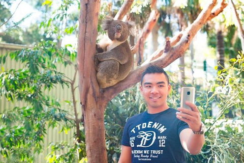 All Inclusive Full-Day Blue Mountains Trip From Sydney - Accommodation Australia 1