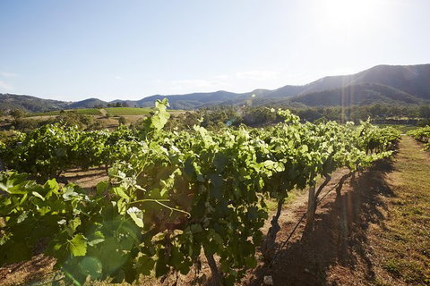 Scenic Hunter Valley Winery Tour With Boutique Wineries & Local Cheese - Australia Shopping 6