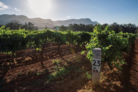 Scenic Hunter Valley Winery Tour With Boutique Wineries & Local Cheese - Australia Shopping 9