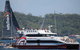 Sydney Boxing Day Cruise 2019 - thumb 0