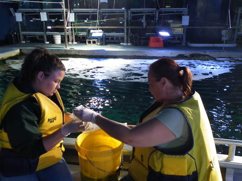 SEA LIFE Sydney Aquarium Entrance Ticket - Accommodation Australia 14