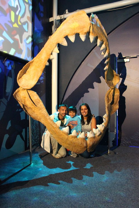 SEA LIFE Sydney Aquarium Entrance Ticket - Accommodation Australia 6