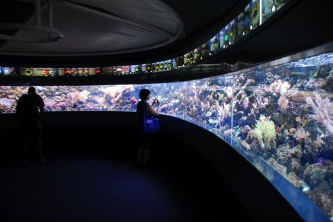 SEA LIFE Sydney Aquarium Entrance Ticket - Accommodation Australia 23