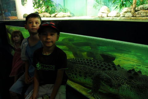 SEA LIFE Sydney Aquarium Entrance Ticket - Accommodation Australia 22