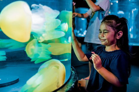 SEA LIFE Sydney Aquarium Entrance Ticket - Accommodation Australia 26