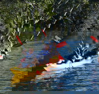 Kayak and SUP Guided Tours - Local Tourism