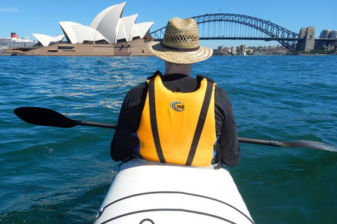 Kayak To Goat Island In Sydney Harbour With Local - Local Tourism 6