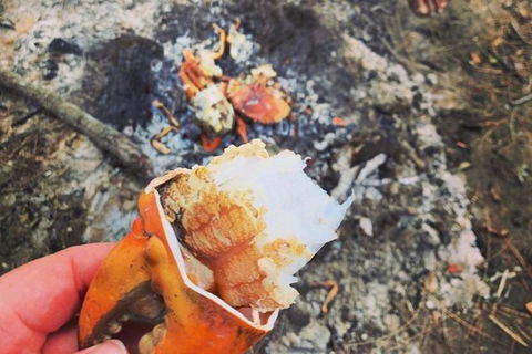Pot To Plate Adventure - Australia Shopping 4
