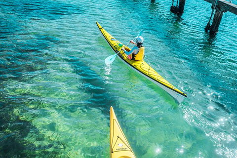 Self-Guided Sydney Middle Harbour Kayak 3 Hour Tour By Single Kayak - Accommodation Australia 7