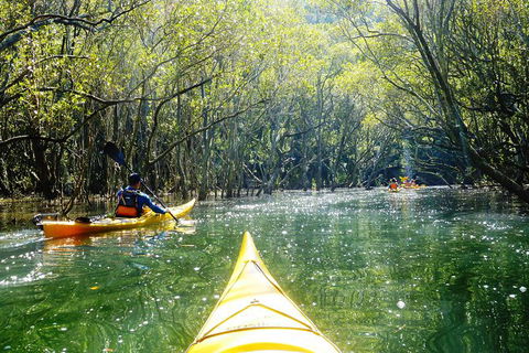 Self-Guided Sydney Middle Harbour Kayak 3 Hour Tour By Single Kayak - Accommodation Australia 5