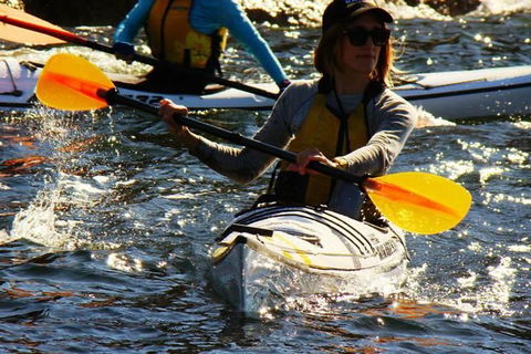 Self-Guided Sydney Middle Harbour Kayak 3 Hour Tour By Single Kayak - Accommodation Australia 8