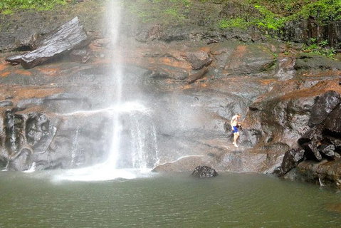Byron Bay Combo: Hinterland Tour Including Minyon Falls And Kayaking With Dolphins - Accommodation Australia 15