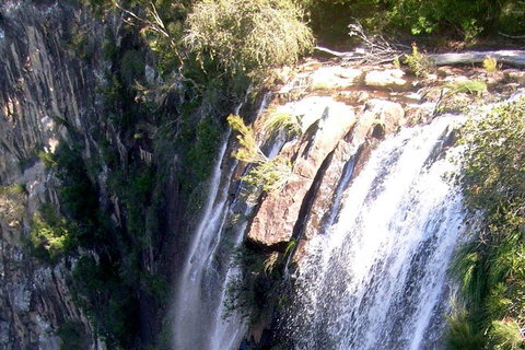 Byron Bay Combo: Hinterland Tour Including Minyon Falls And Kayaking With Dolphins - Accommodation Australia 20
