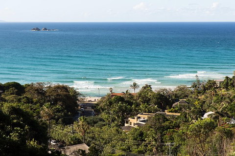 Byron Bay Combo: Hinterland Tour Including Minyon Falls And Kayaking With Dolphins - Accommodation Australia 2