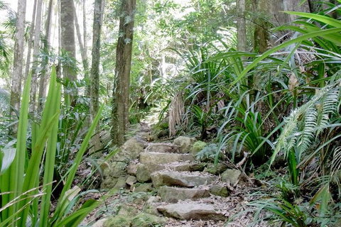 Byron Bay Combo: Hinterland Tour Including Minyon Falls And Kayaking With Dolphins - Accommodation Australia 4