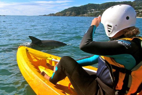 Byron Bay Combo: Hinterland Tour Including Minyon Falls And Kayaking With Dolphins - Accommodation Australia 1