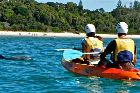 Byron Bay Combo: Hinterland Tour Including Minyon Falls And Kayaking With Dolphins - Accommodation Australia 16