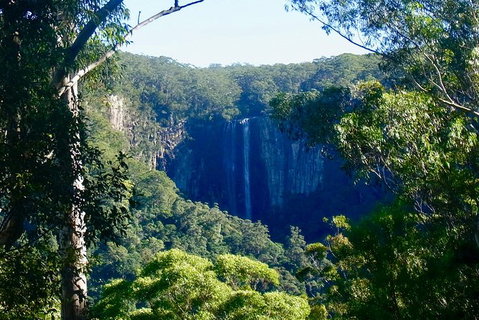 Byron Bay Combo: Hinterland Tour Including Minyon Falls And Kayaking With Dolphins - Accommodation Australia 5