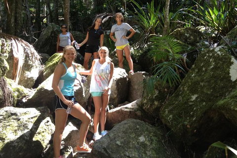 Byron Bay Combo: Hinterland Tour Including Minyon Falls And Kayaking With Dolphins - Accommodation Australia 7