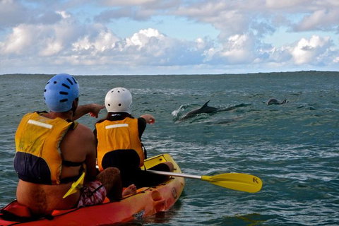 Byron Bay Combo: Hinterland Tour Including Minyon Falls And Kayaking With Dolphins - Accommodation Australia 18