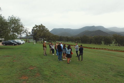 Hunter Valley Private Tour Including Wine, Chocolate, Cheese, Vodka, Gin Tasting - Australia Shopping 10