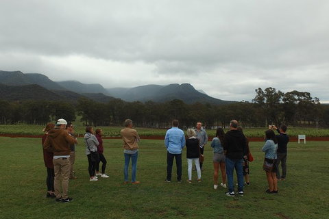 Hunter Valley Private Tour Including Wine, Chocolate, Cheese, Vodka, Gin Tasting - Australia Shopping 3