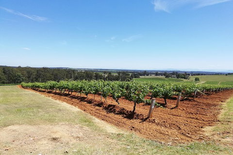 Hunter Valley Private Tour Including Wine, Chocolate, Cheese, Vodka, Gin Tasting - Australia Shopping 16