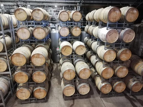 Hunter Valley Private Tour Including Wine, Chocolate, Cheese, Vodka, Gin Tasting - Australia Shopping 8