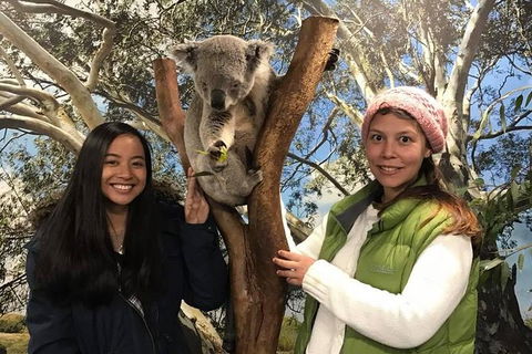 Australia Multi-City Attractions Pass - Accommodation Australia 2