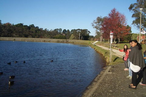All-Day Blue Mountains Private Tour With Professional Guide For Up To 4 People - Accommodation Australia 24