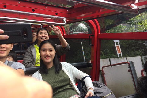 All-Day Blue Mountains Private Tour With Professional Guide For Up To 4 People - Accommodation Australia 15