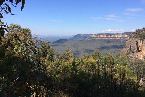 All-Day Blue Mountains Private Tour With Professional Guide For Up To 4 People - Accommodation Australia 4