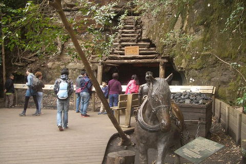 All-Day Blue Mountains Private Tour With Professional Guide For Up To 4 People - Accommodation Australia 9
