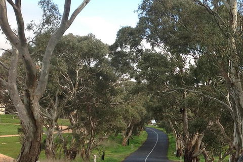All-Day Blue Mountains Private Tour With Professional Guide For Up To 4 People - Accommodation Australia 22