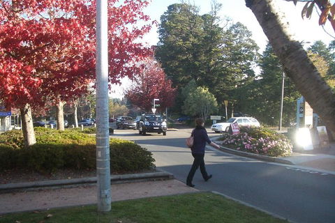 All-Day Blue Mountains Private Tour With Professional Guide For Up To 4 People - Accommodation Australia 12
