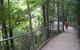 All-Day Blue Mountains Private Tour With Professional Guide For Up To 4 People - thumb 20